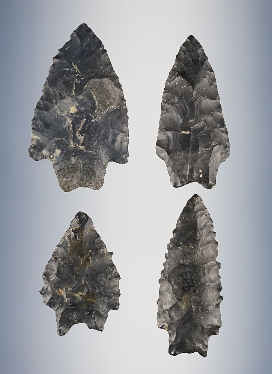 Set of 4 classic Ohio Paleo transitional points. The largest is 2 7/16".