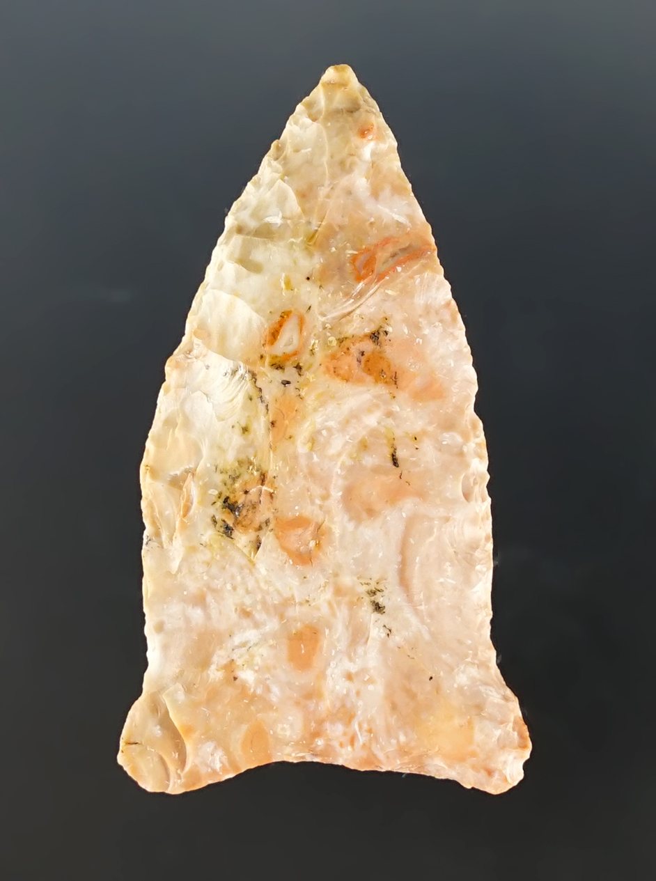 Main artifact image