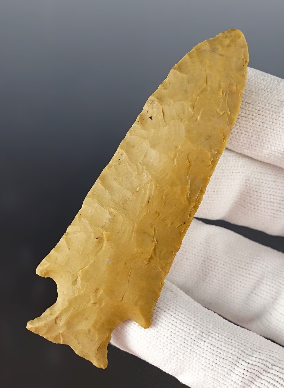 Main artifact image