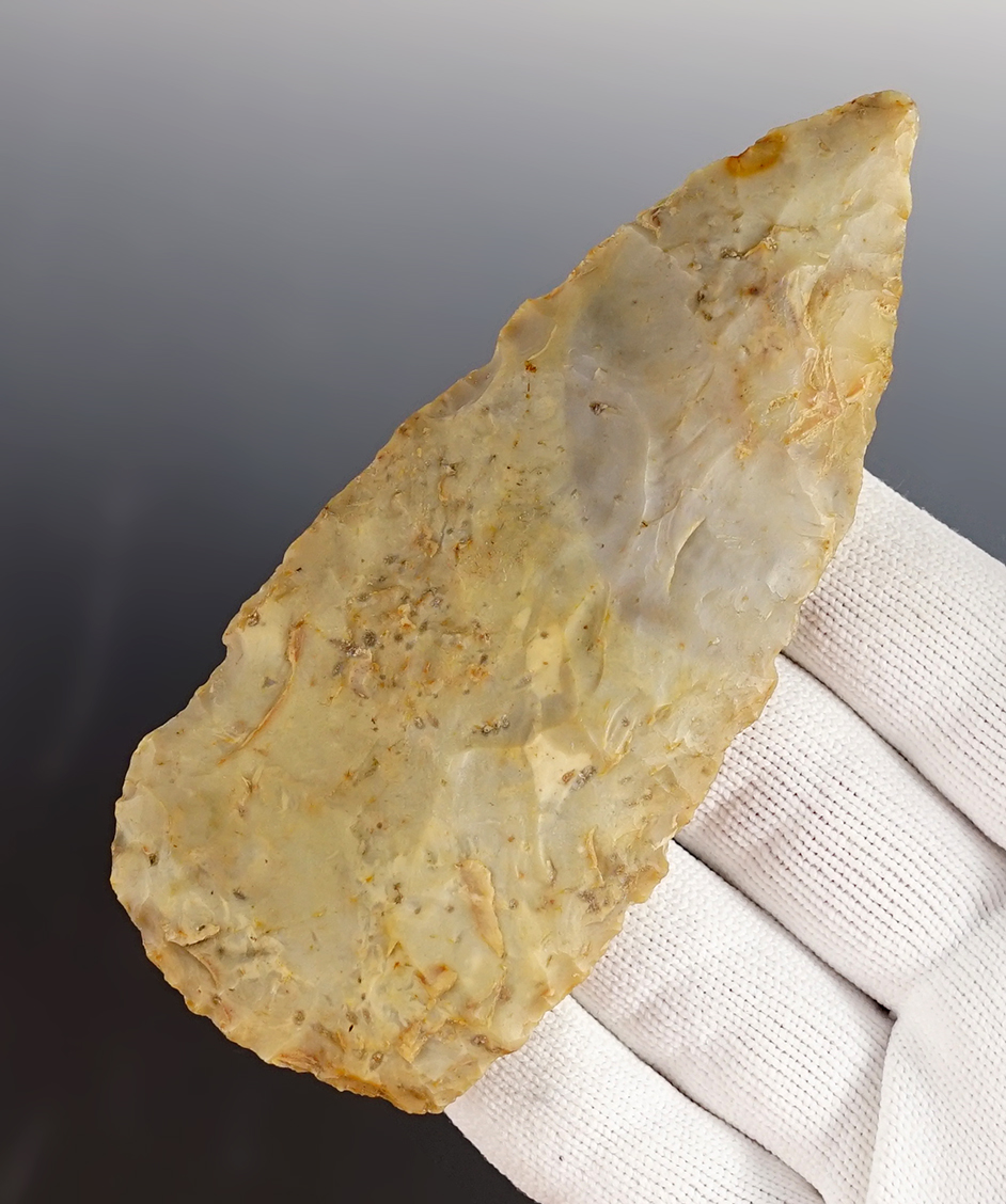 Main artifact image