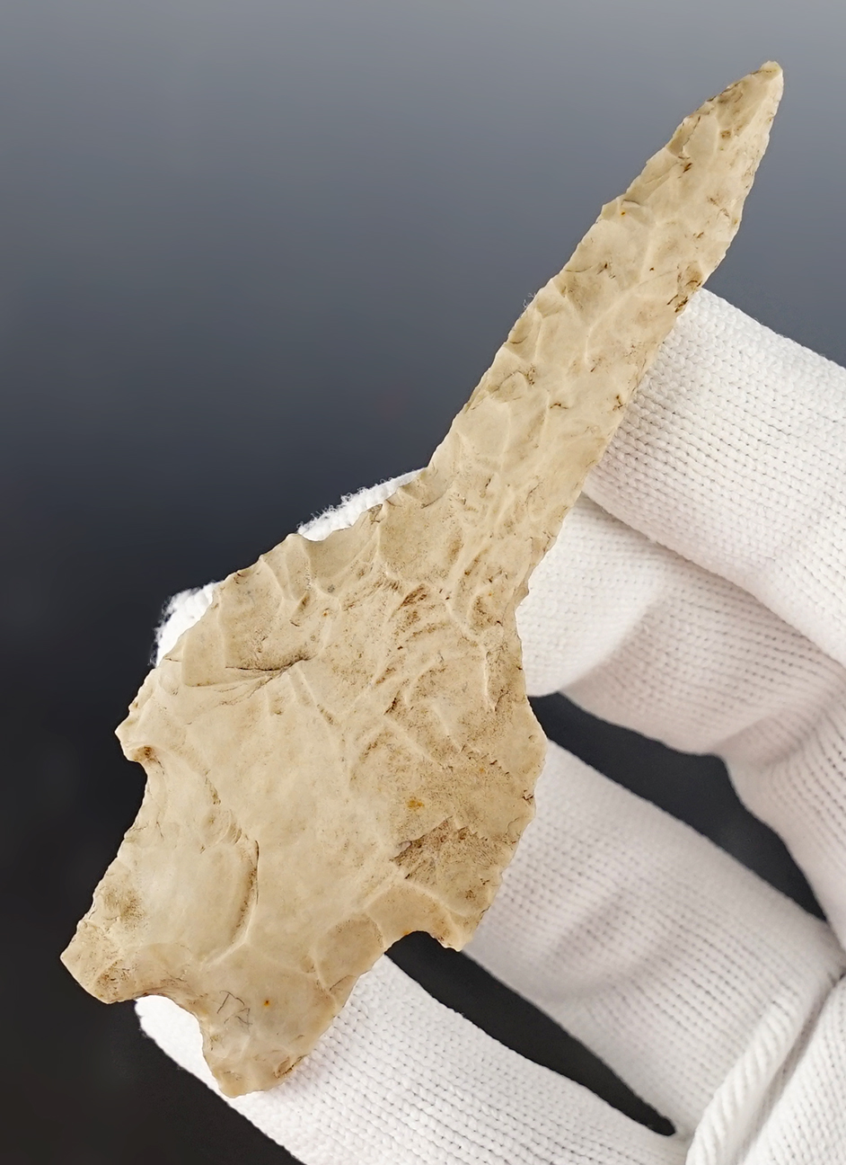Main artifact image