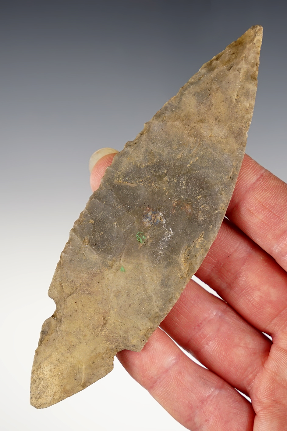 Main artifact image