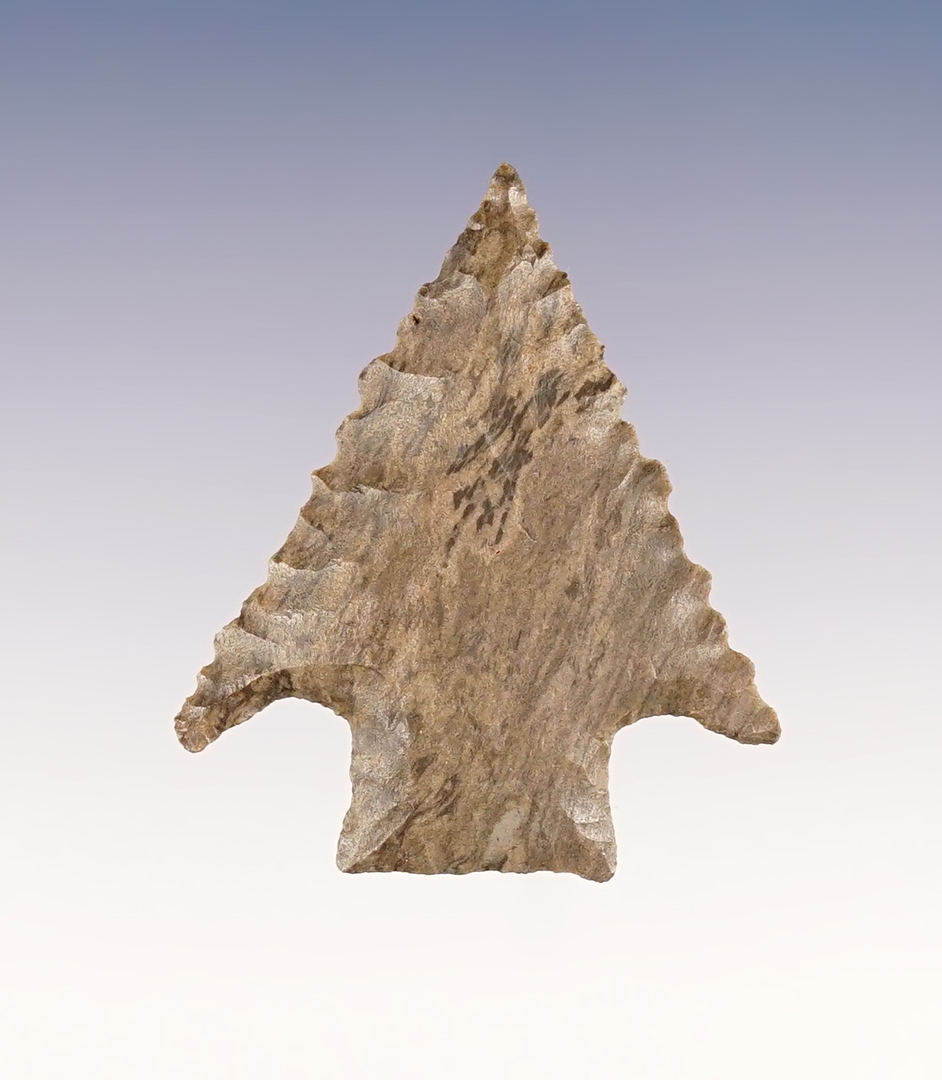 Main artifact image