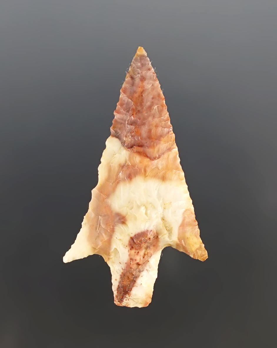 Main artifact image