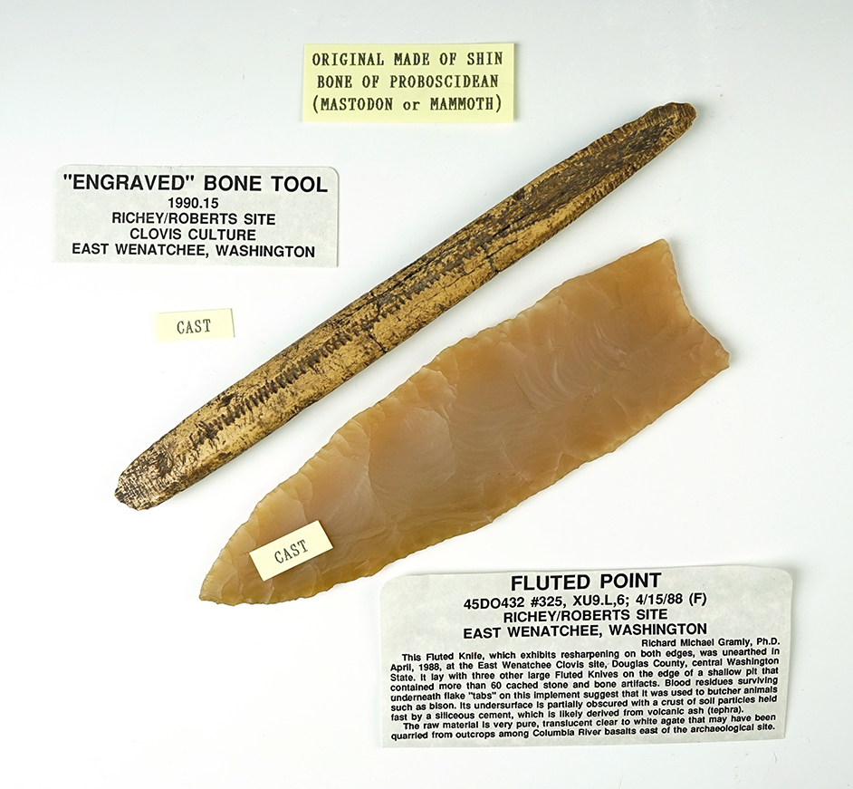Main artifact image