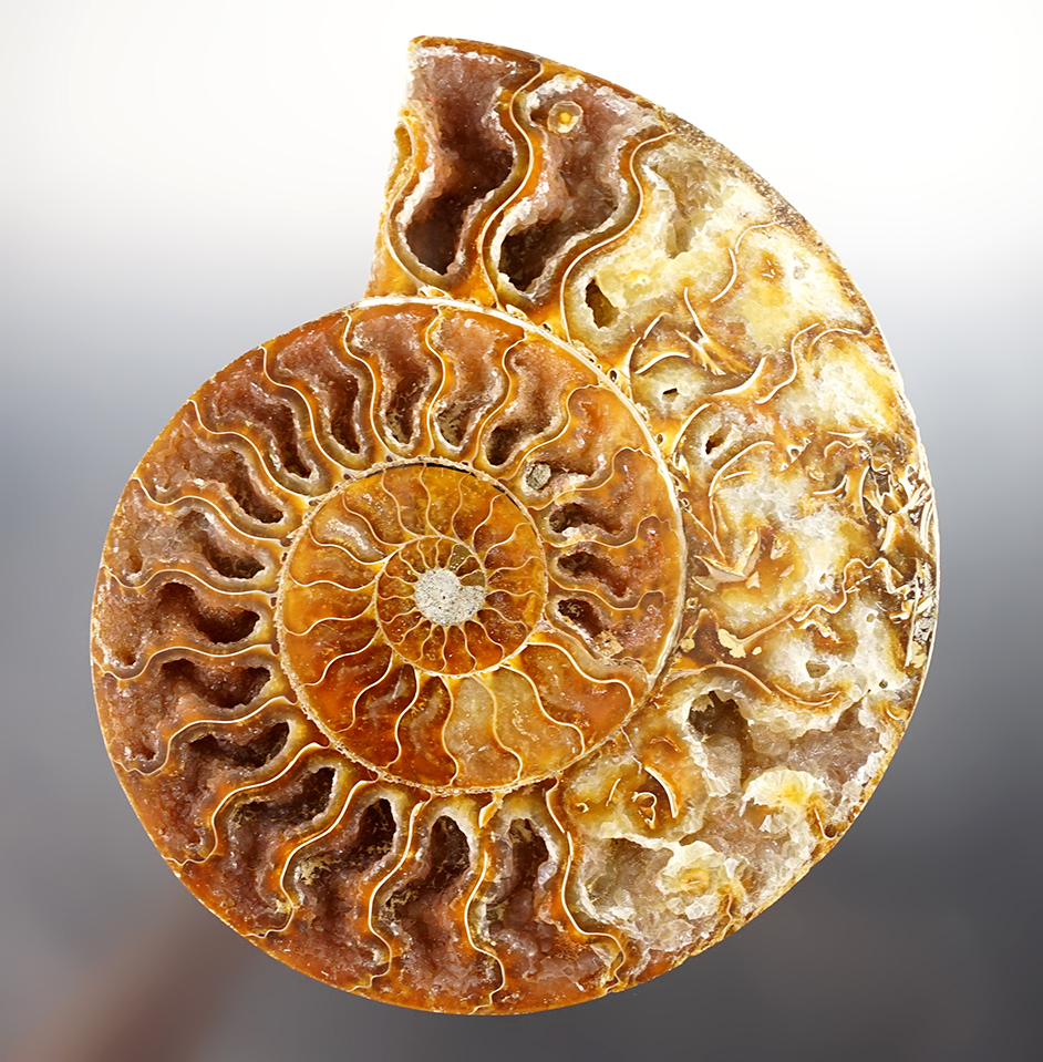 Main artifact image