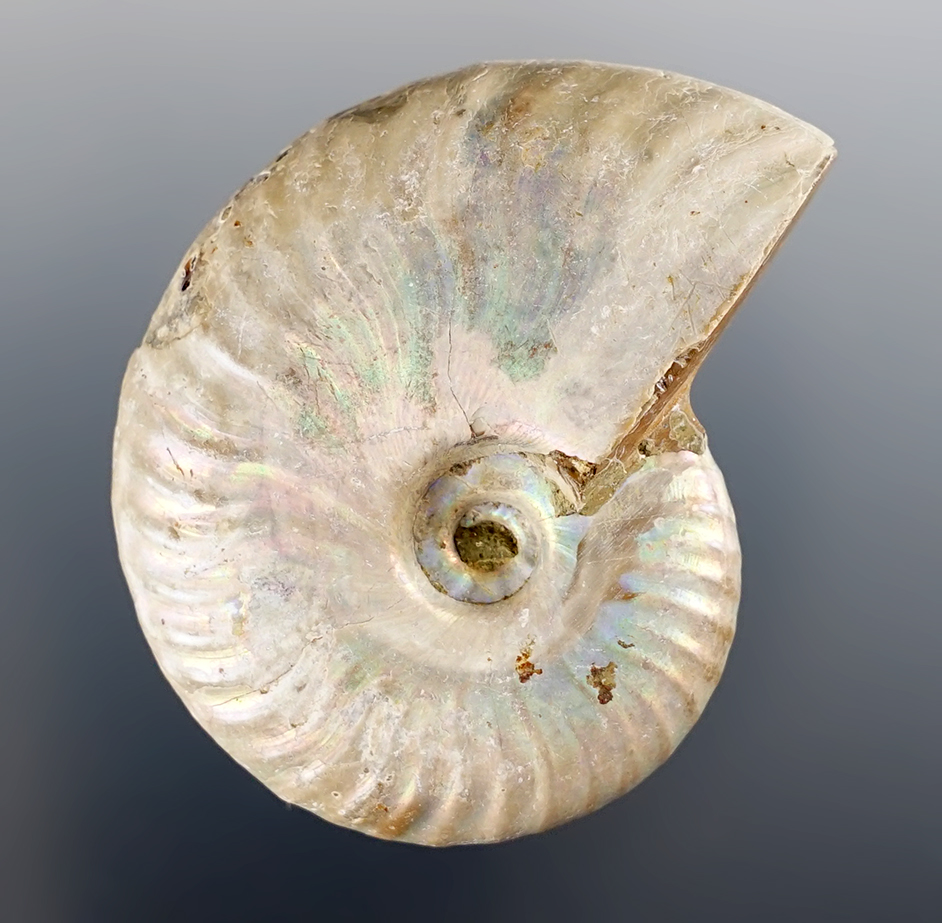 Main artifact image