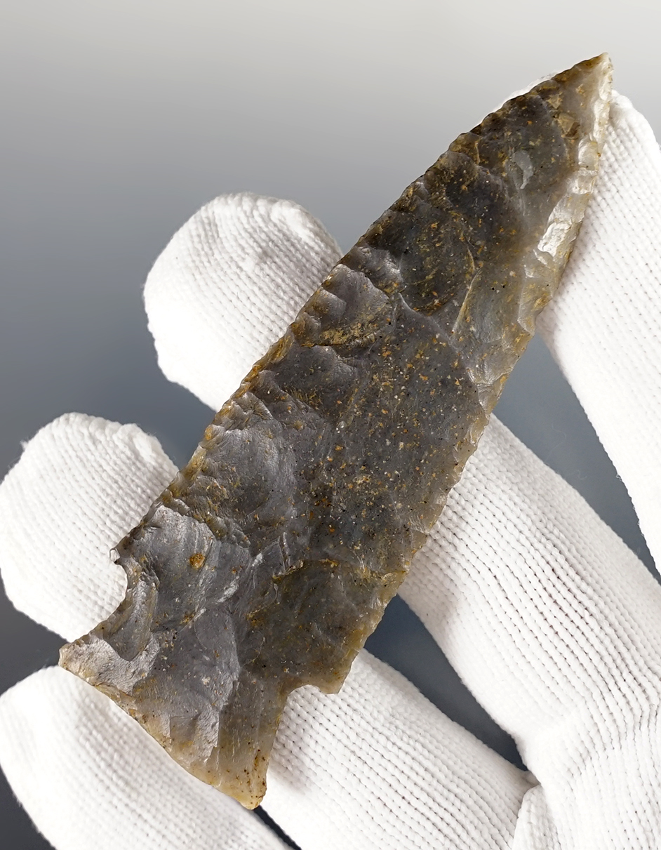Main artifact image