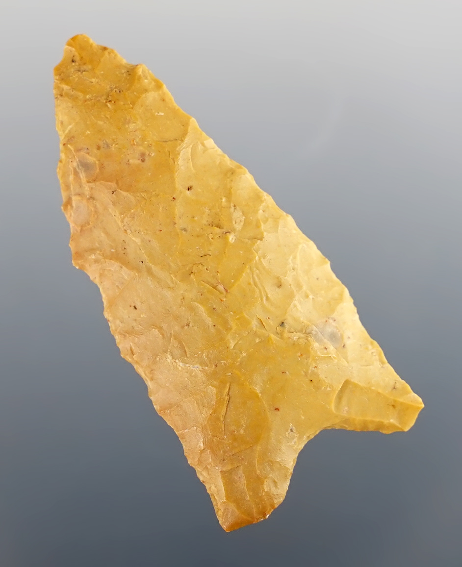 Main artifact image