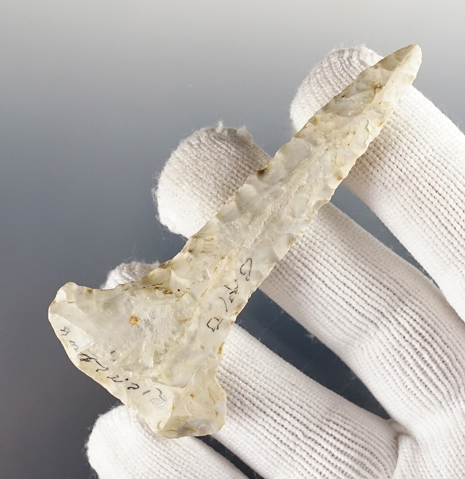 Main artifact image