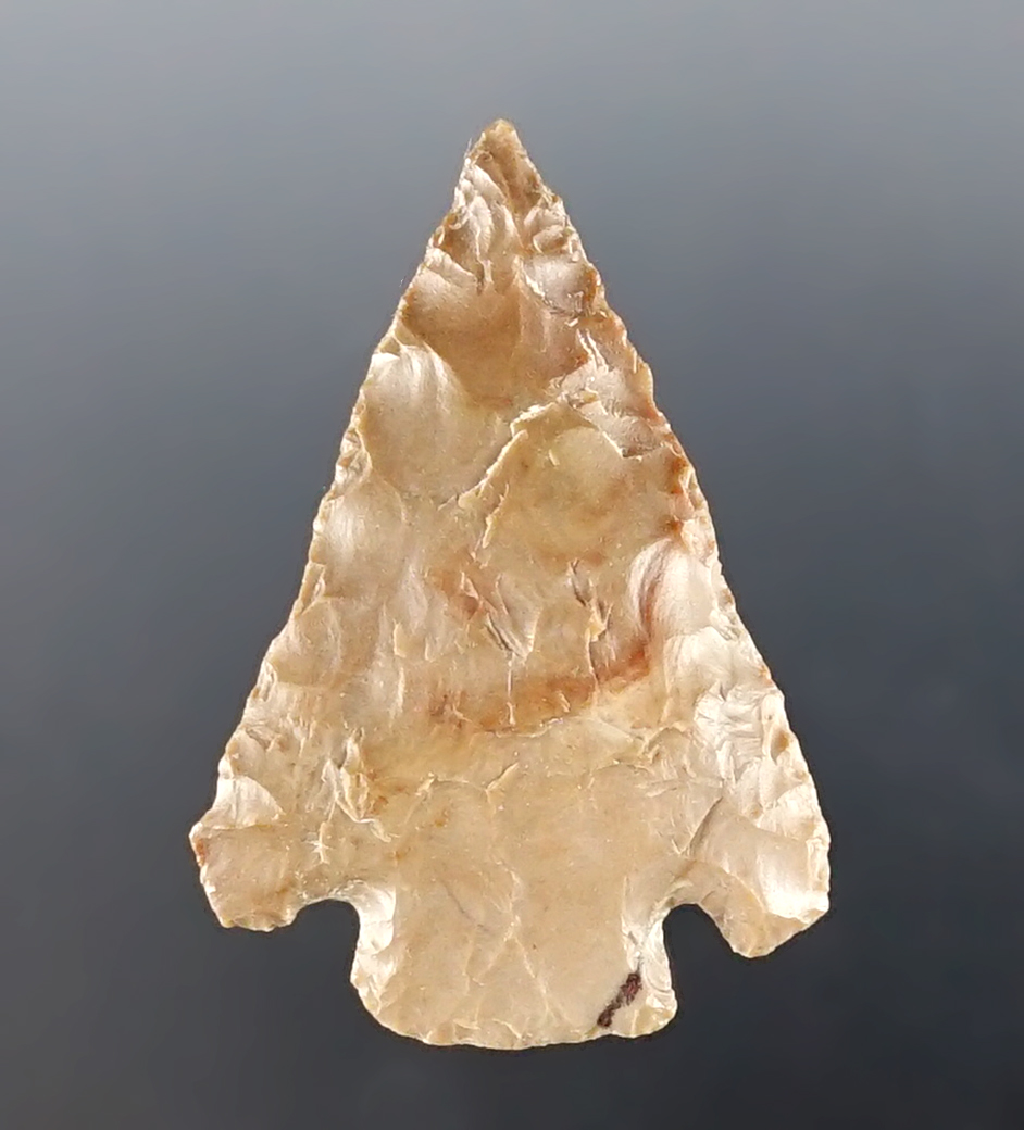 Main artifact image