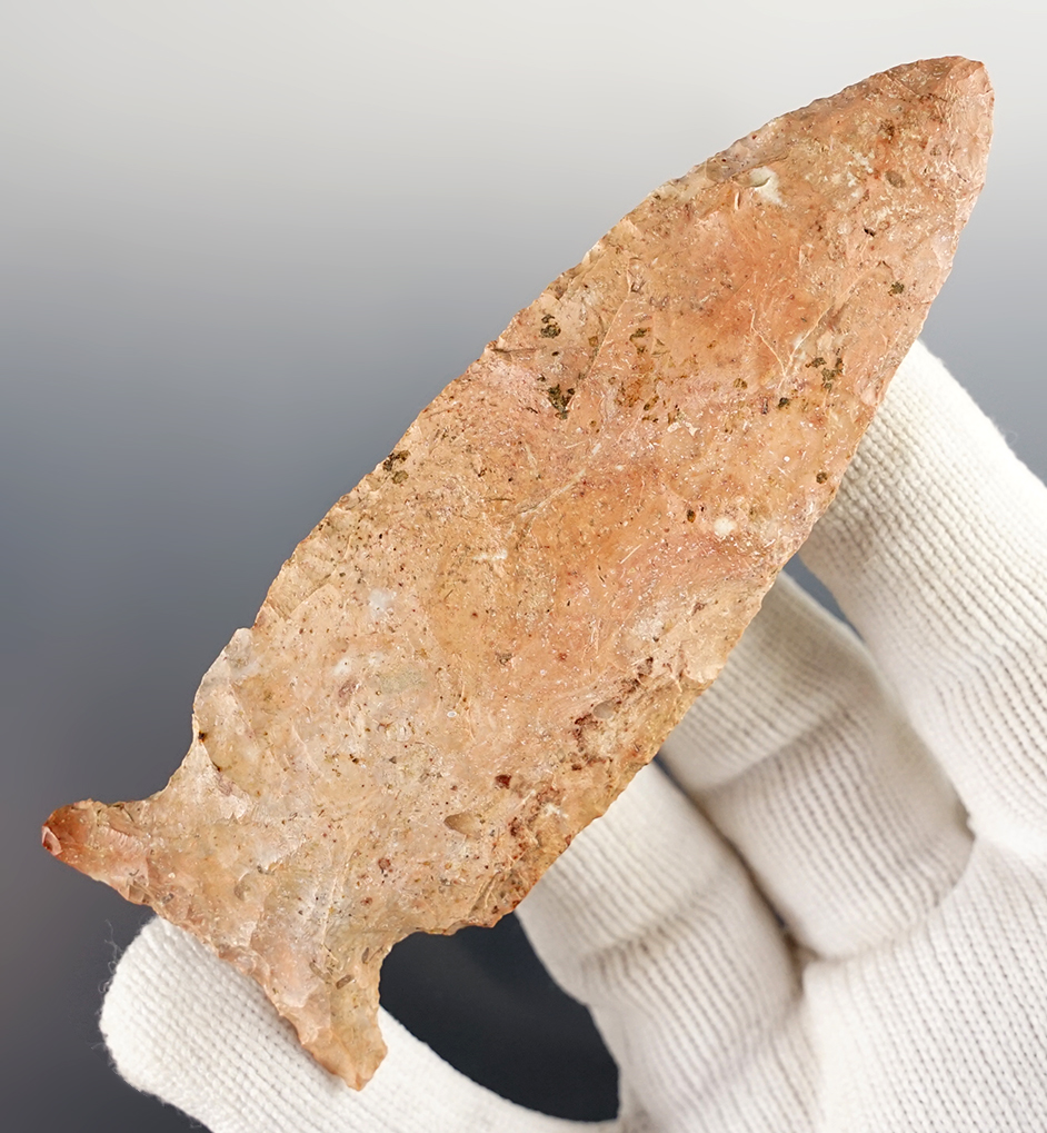 Main artifact image