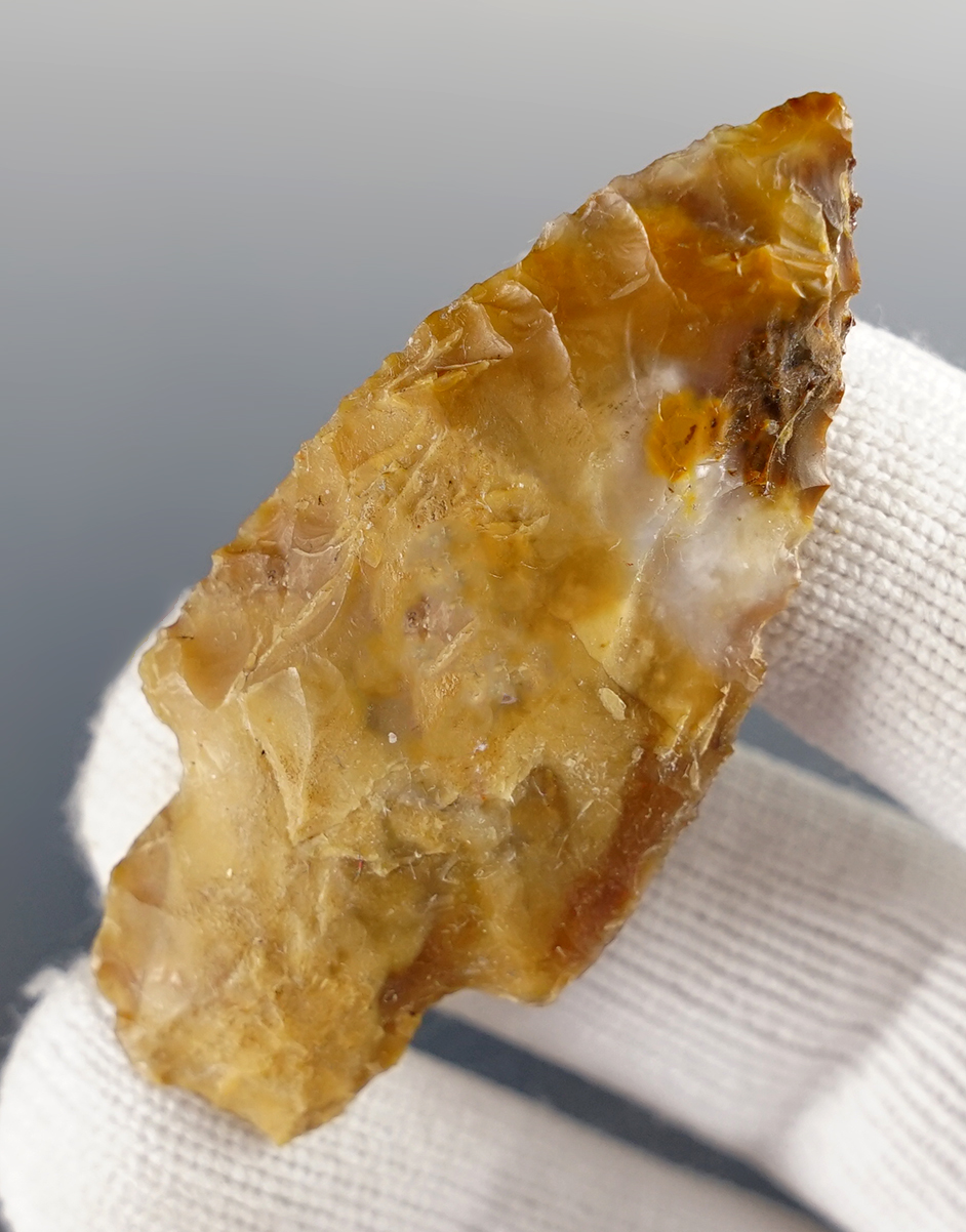 Main artifact image