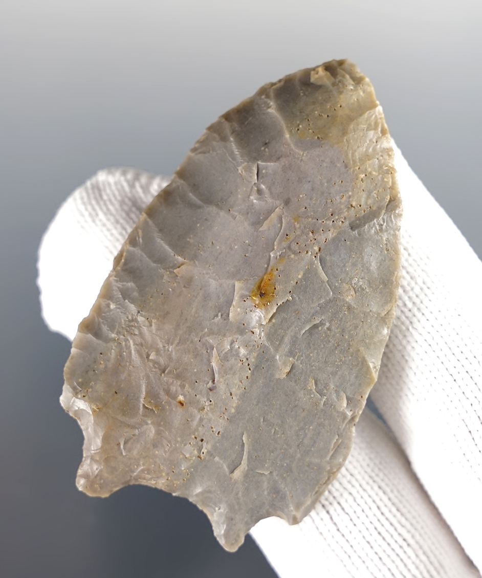 Main artifact image