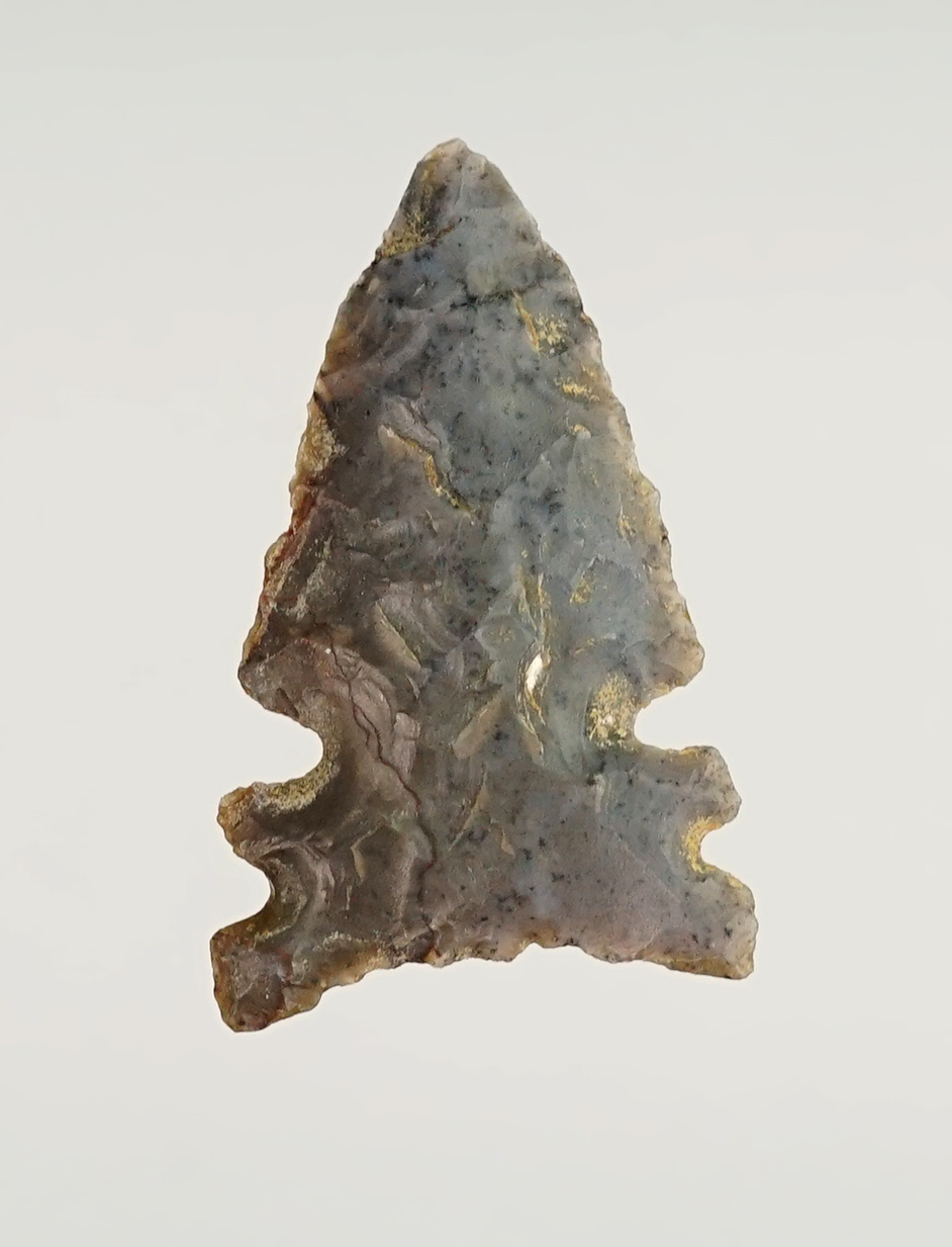 Main artifact image