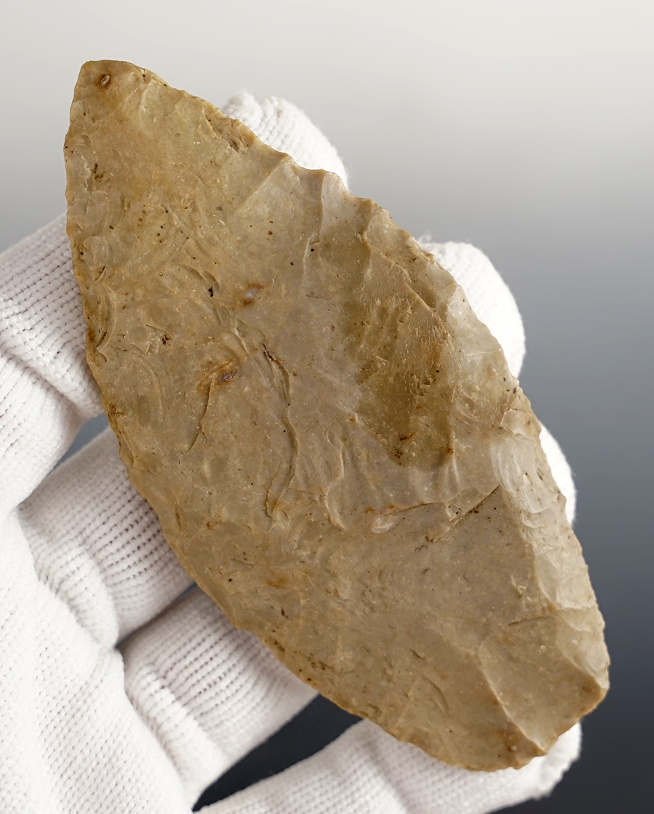 Main artifact image