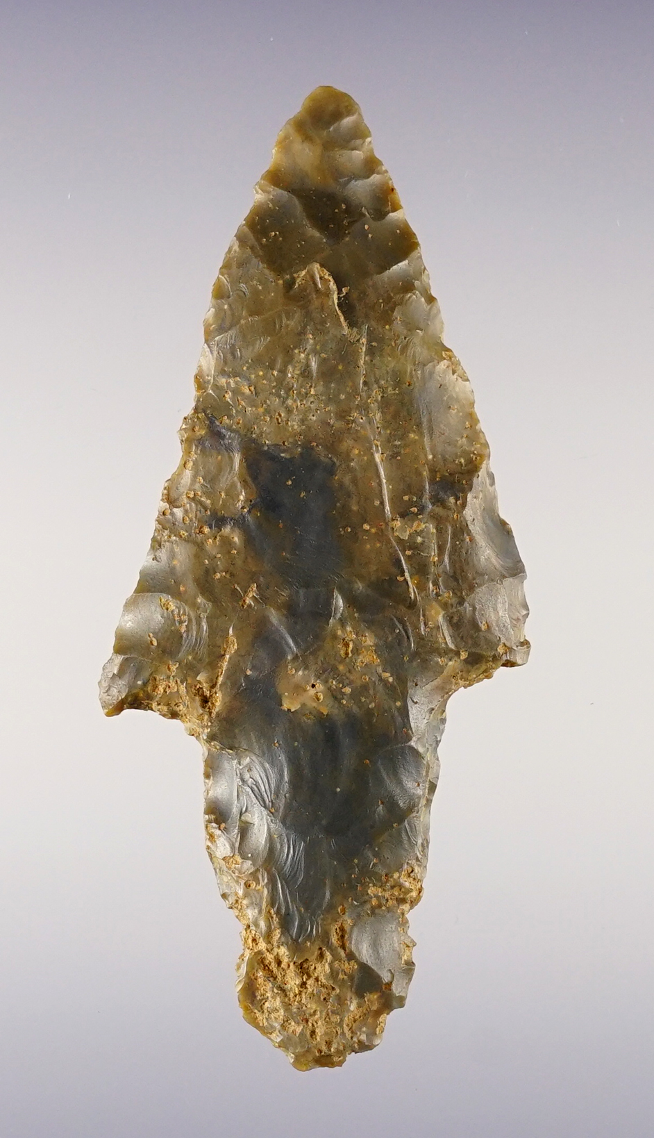 Main artifact image