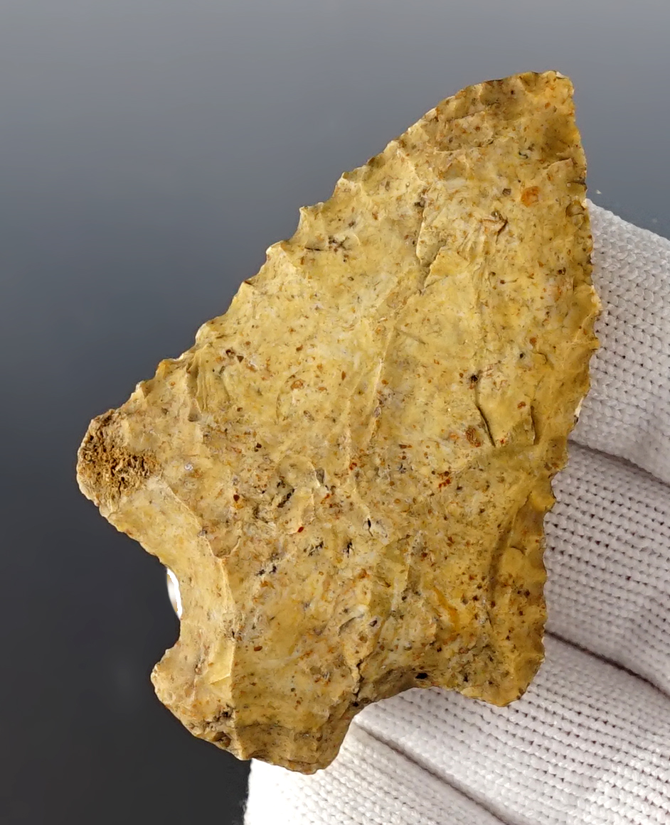 Main artifact image