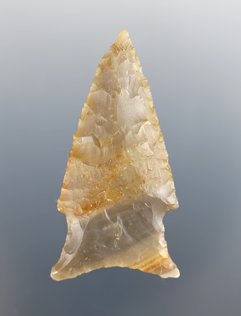 Main artifact image