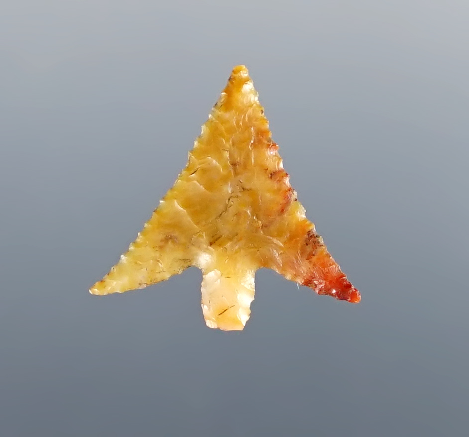 Main artifact image