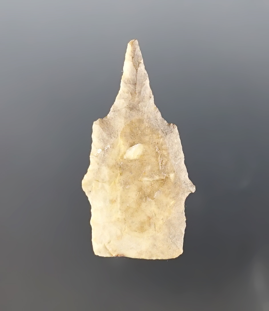Main artifact image