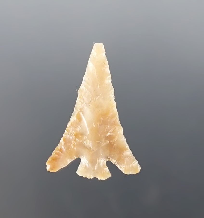 Main artifact image