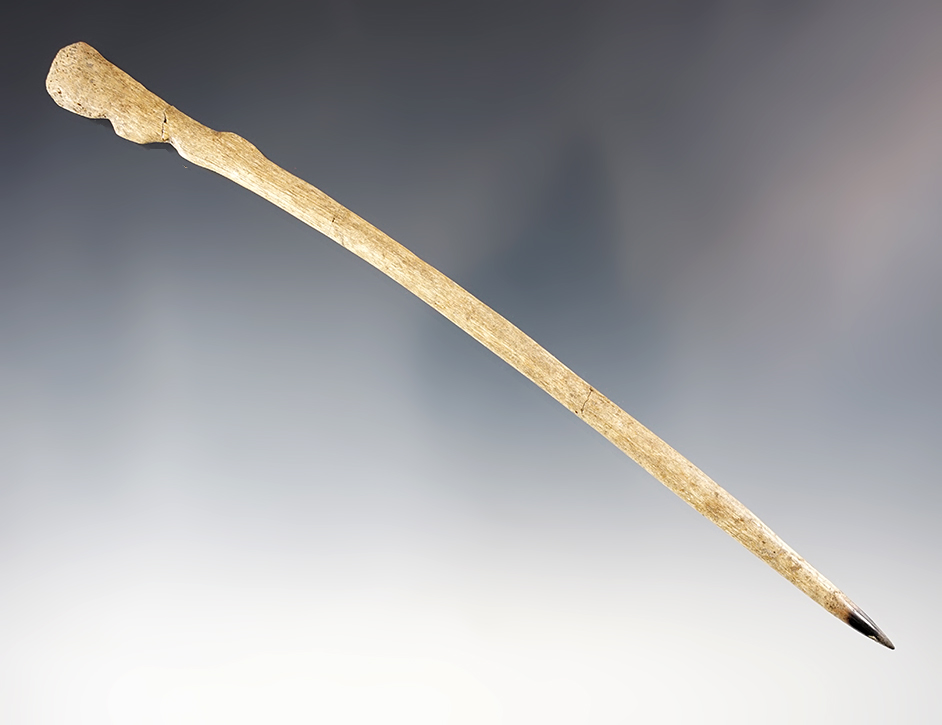 Main artifact image