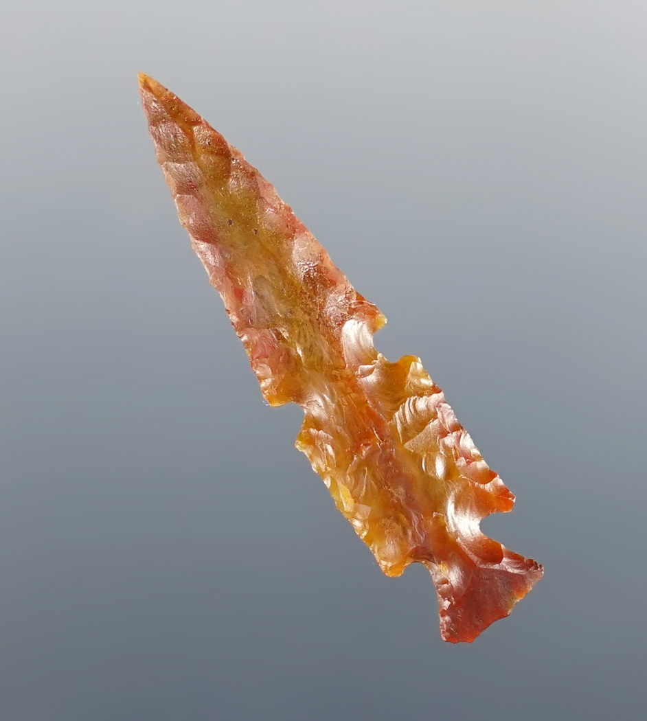 Main artifact image