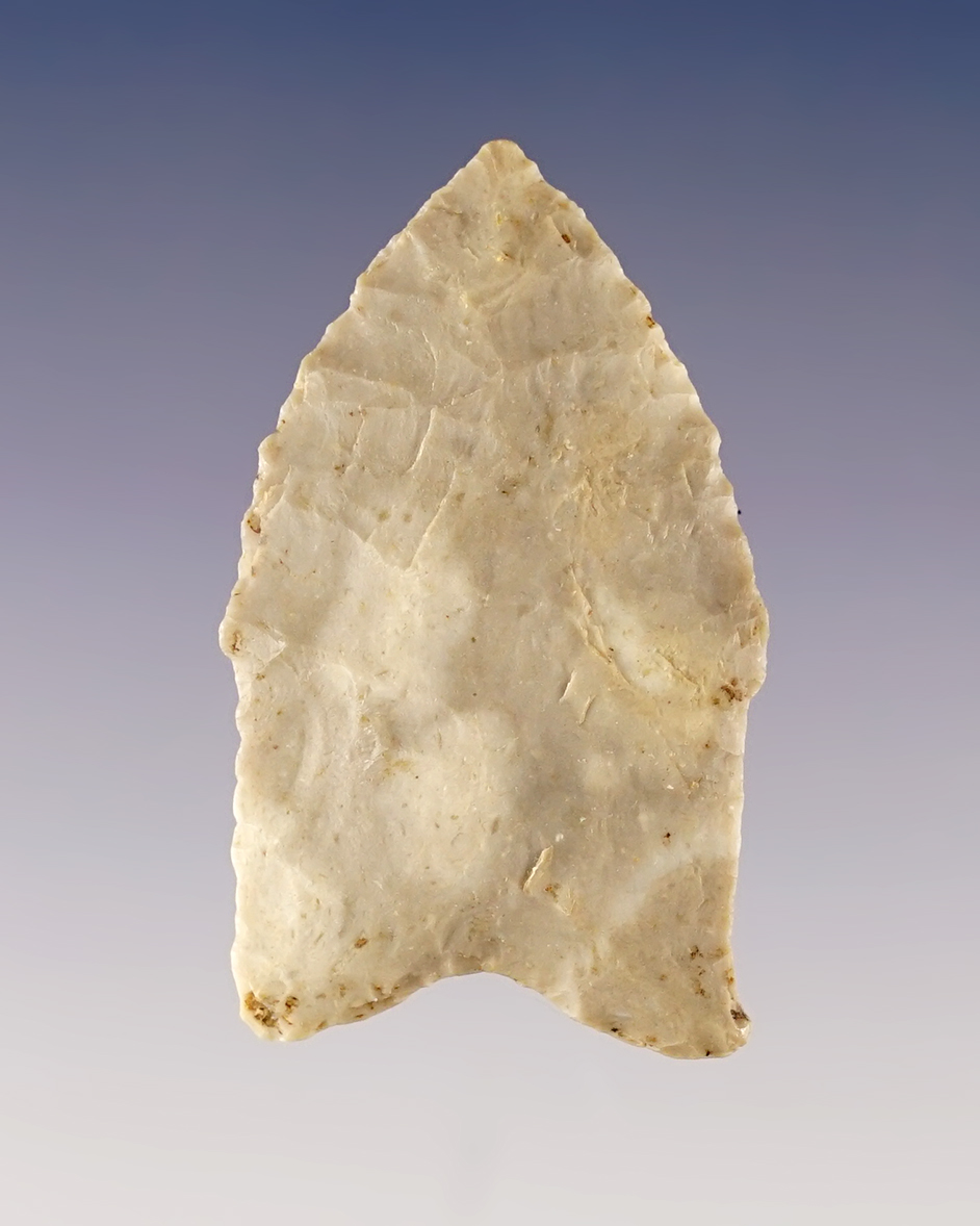 Main artifact image