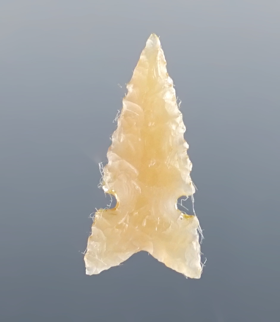 Main artifact image