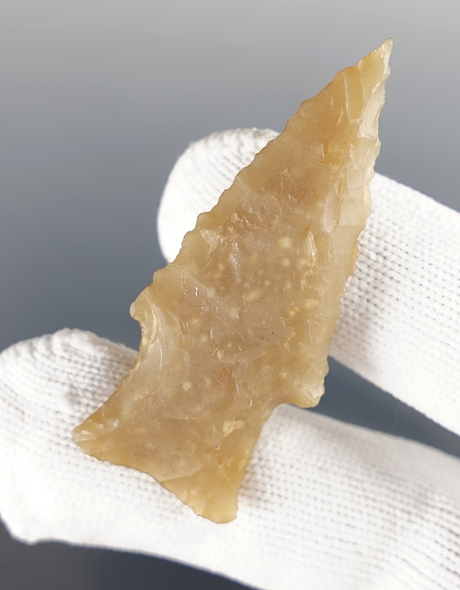 Main artifact image