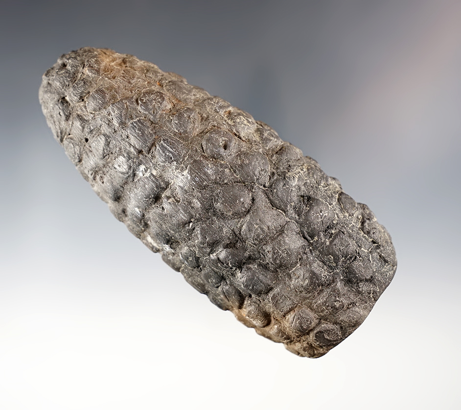 Main artifact image