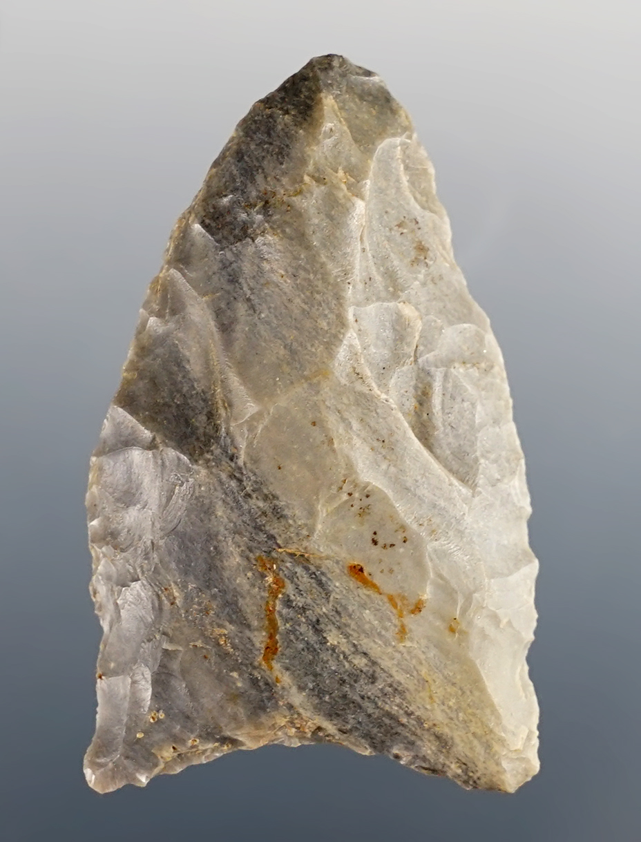 Main artifact image