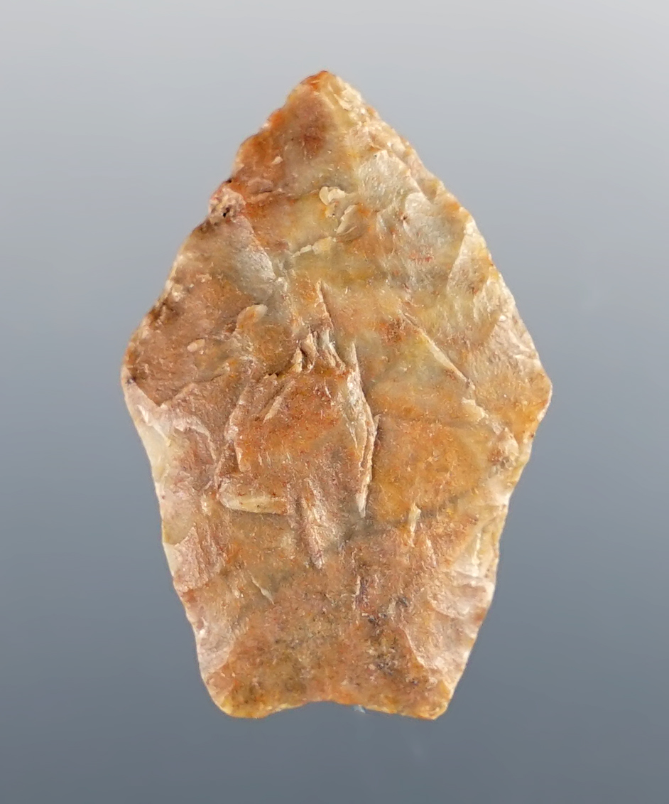 Main artifact image