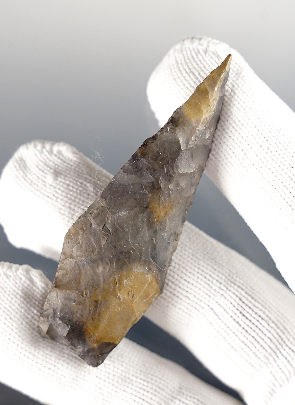 Main artifact image