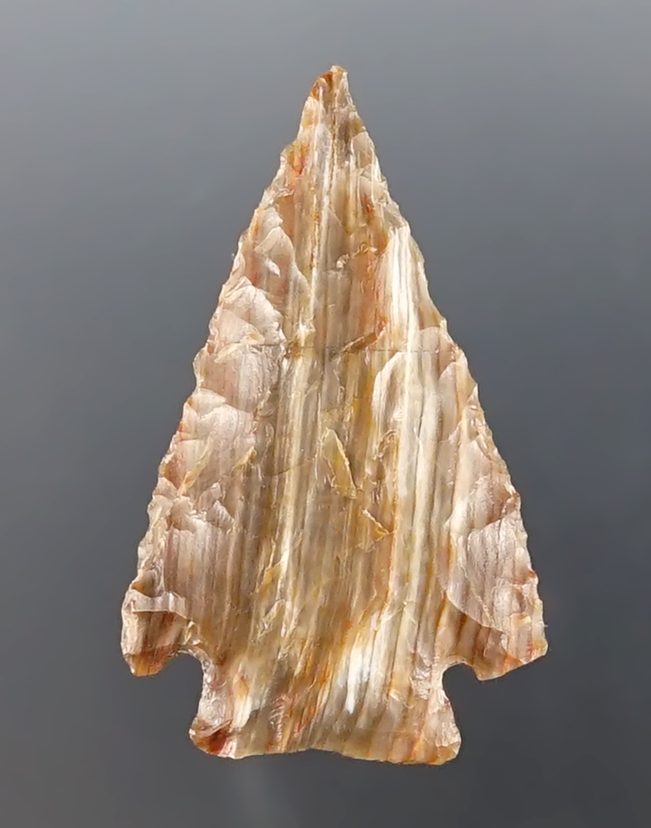 Main artifact image