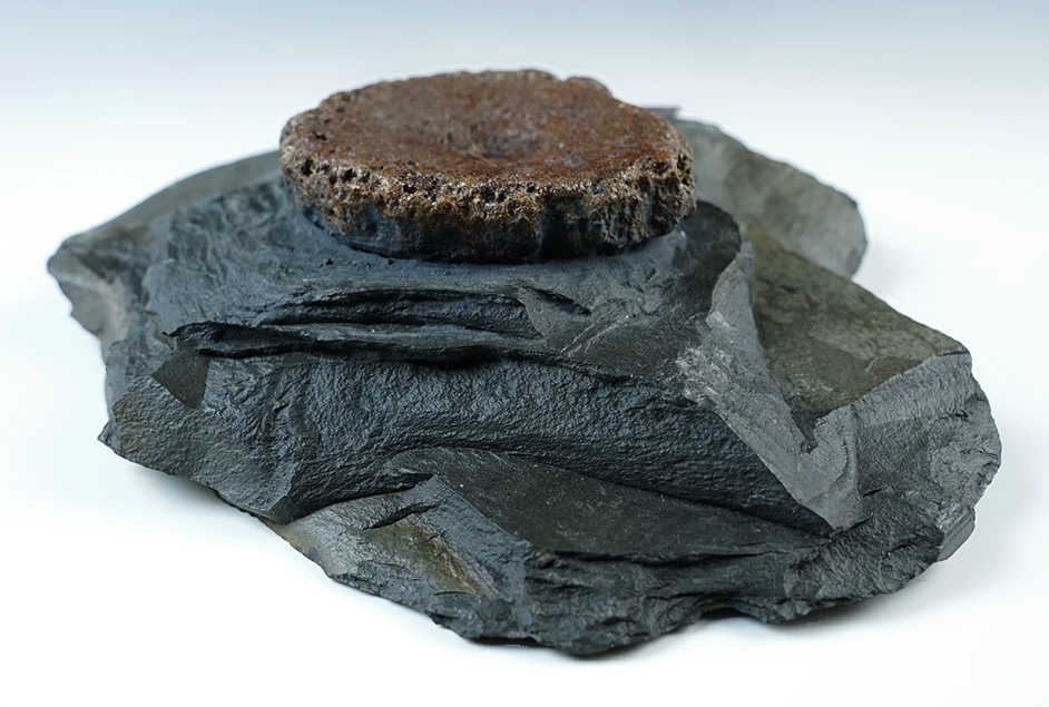 Main artifact image
