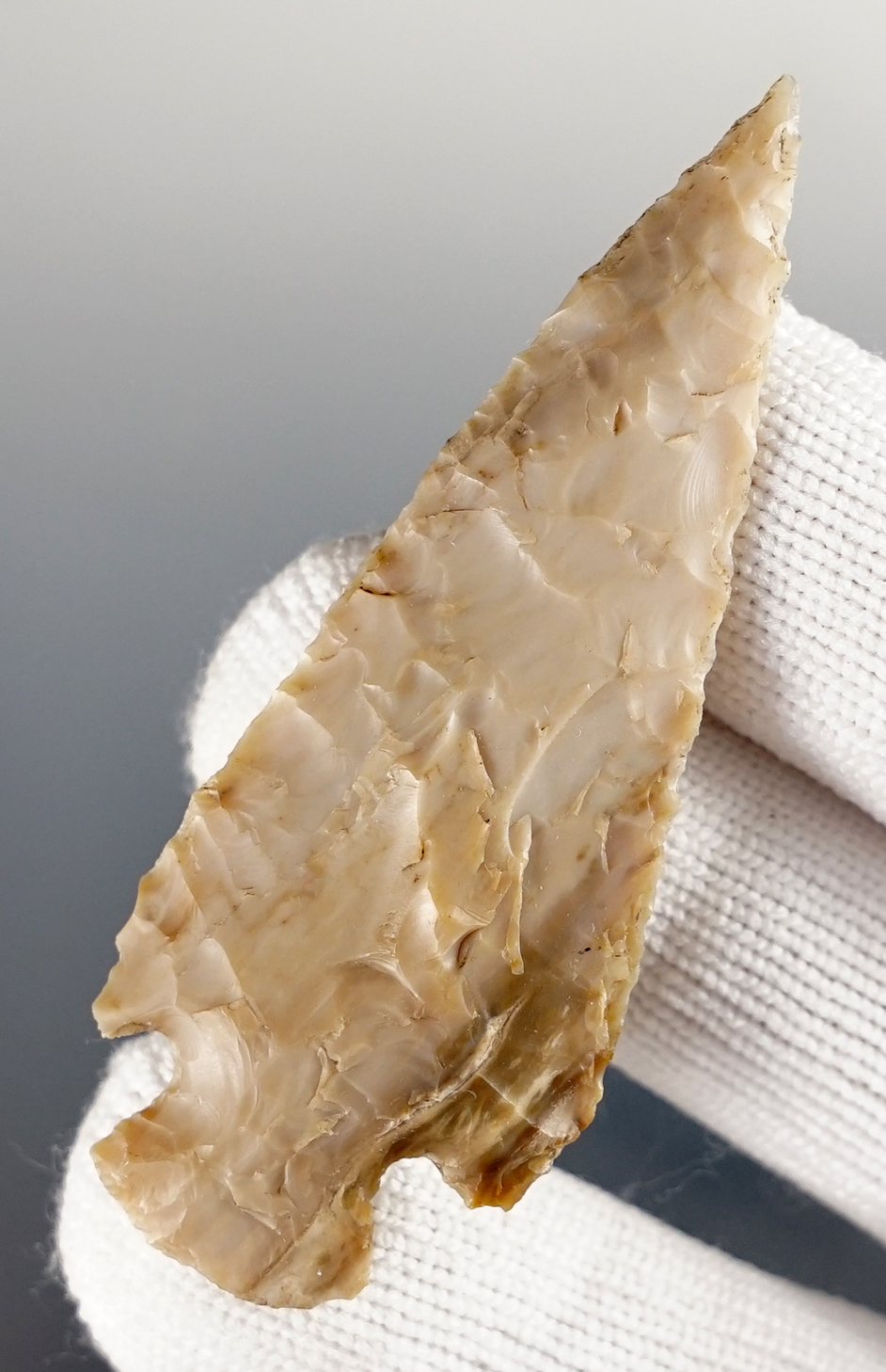 Main artifact image
