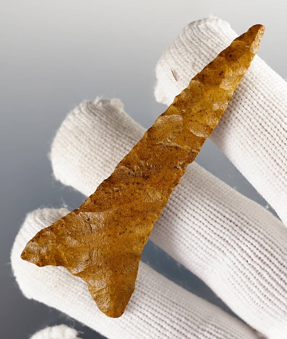 Main artifact image