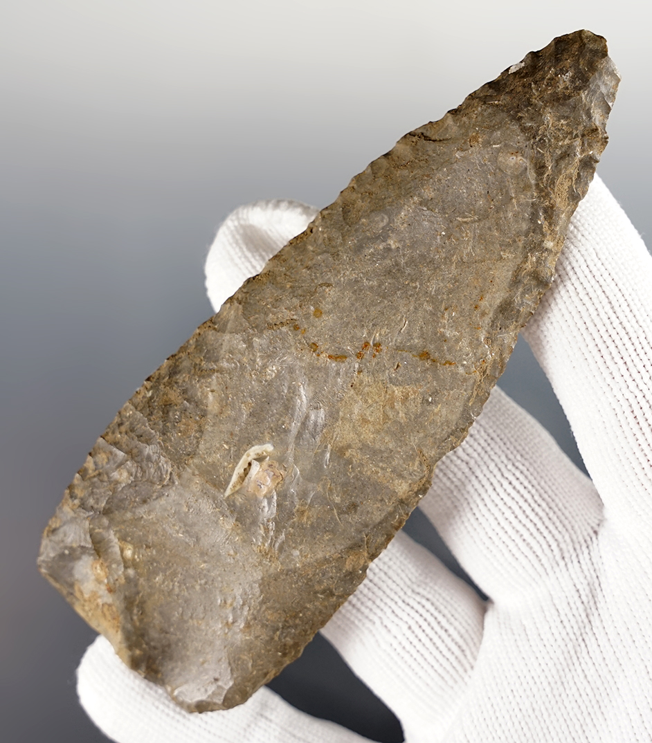 Main artifact image