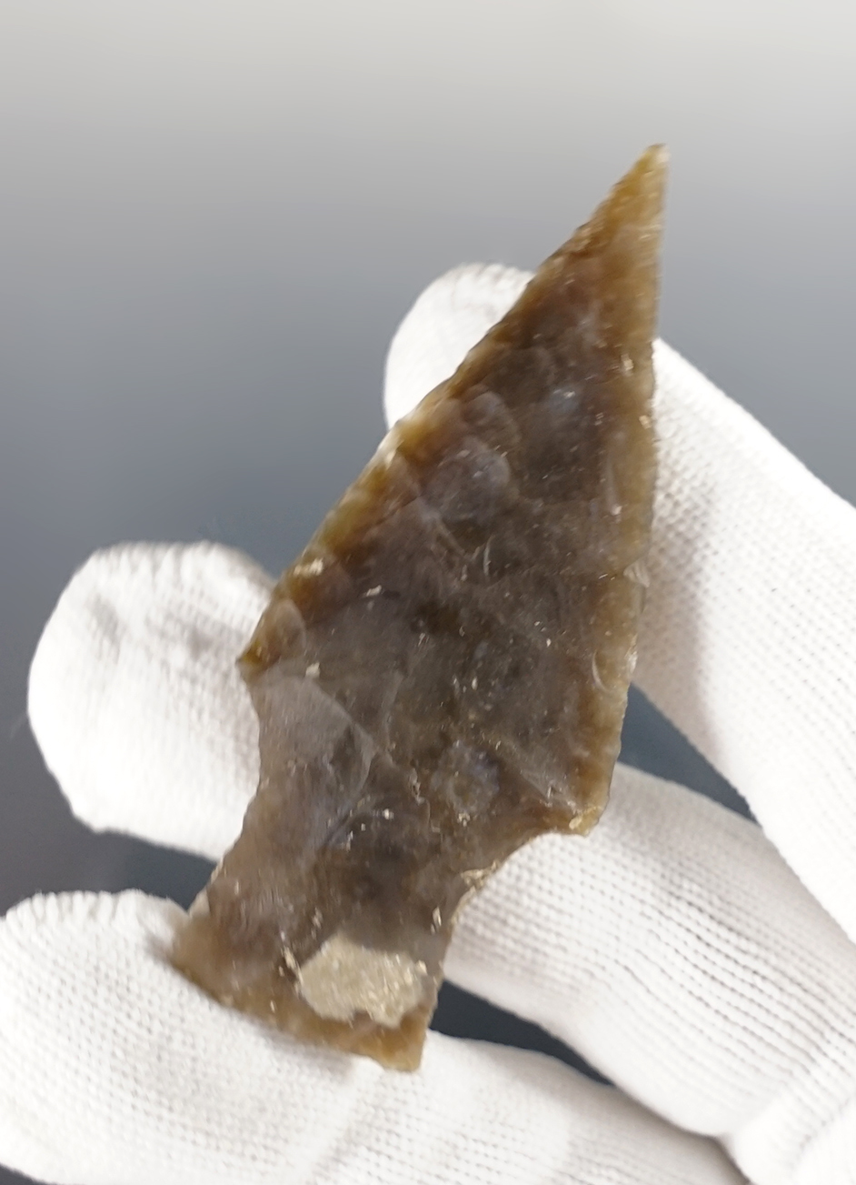 Main artifact image