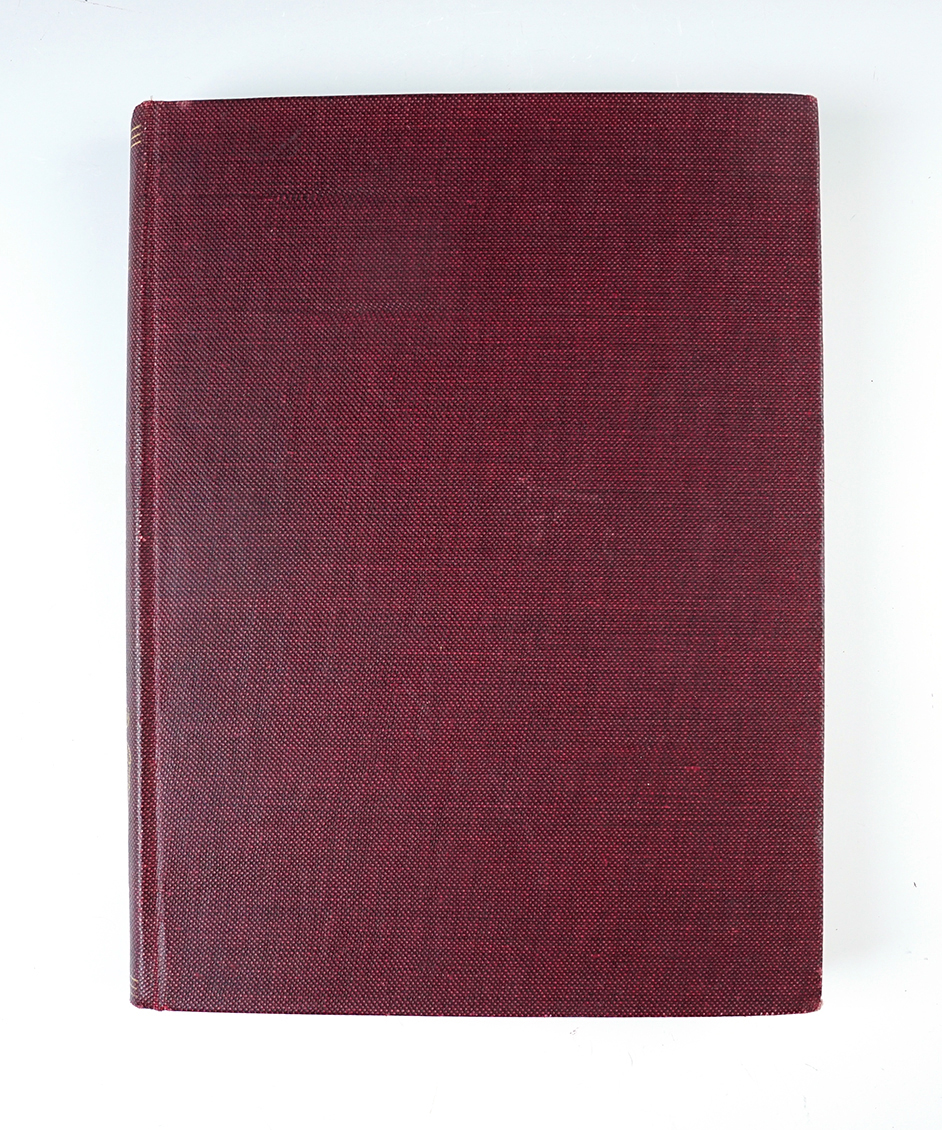 Main artifact image