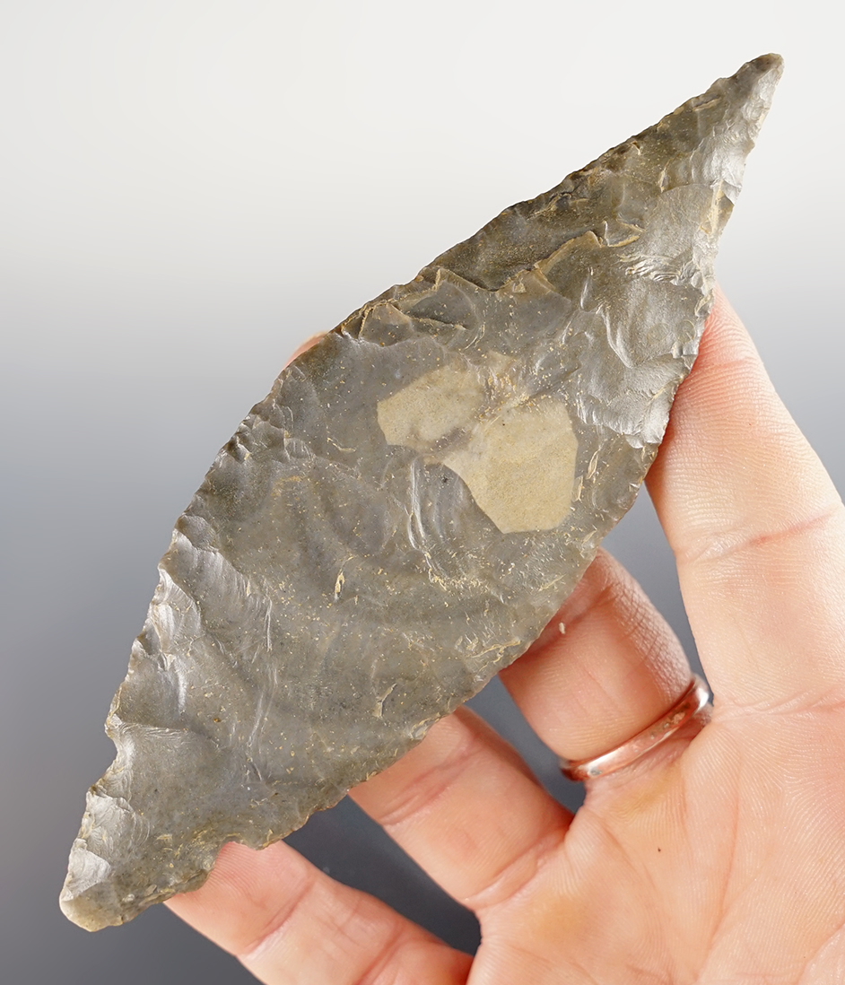Main artifact image