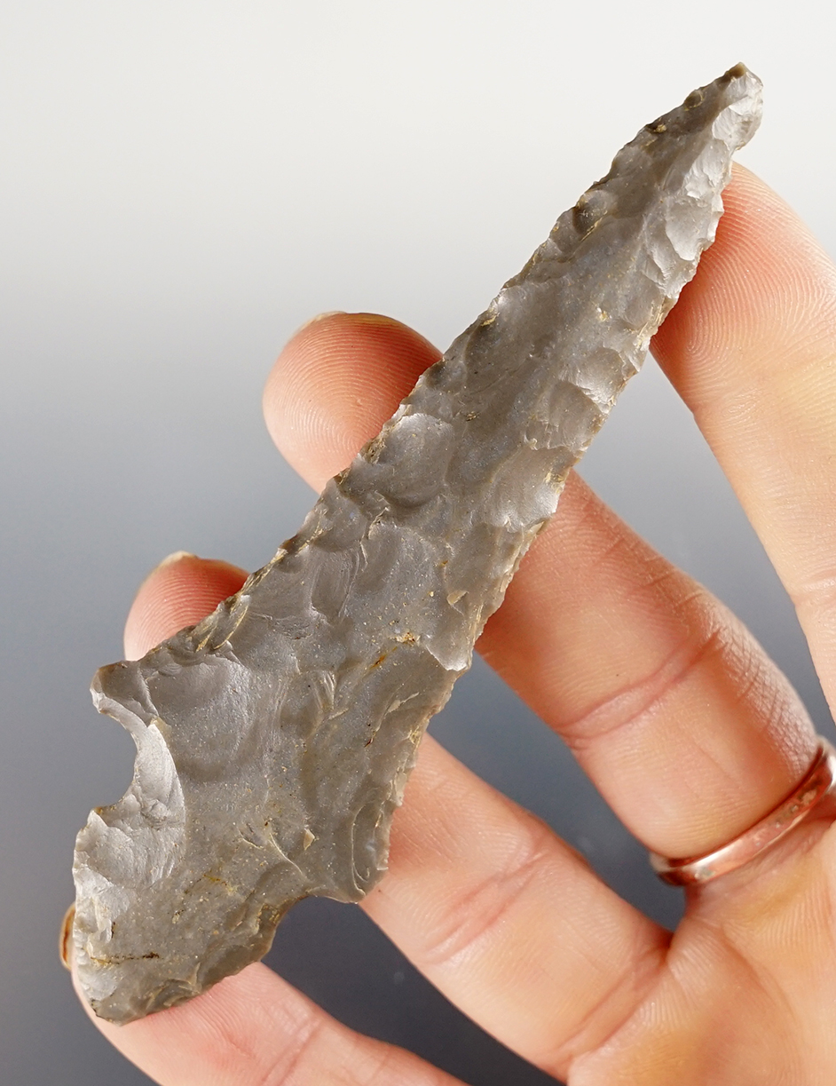 Main artifact image