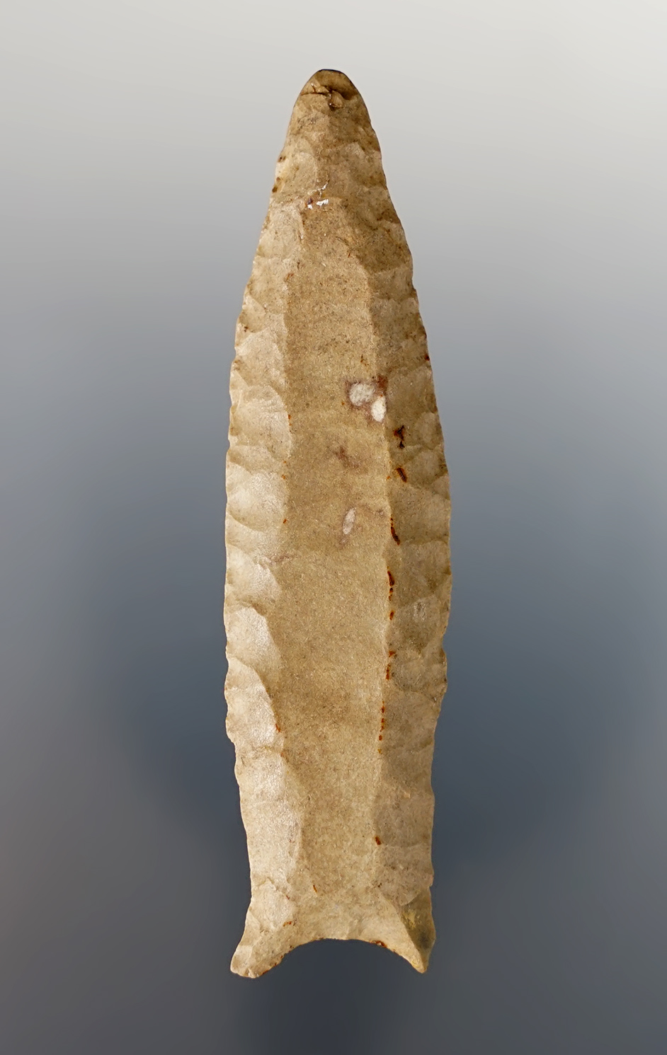 Main artifact image