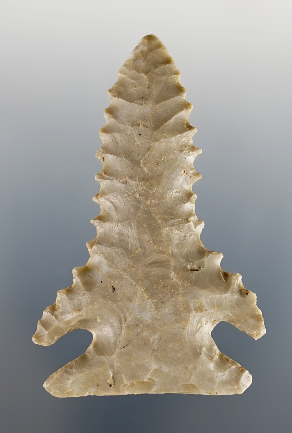 Main artifact image