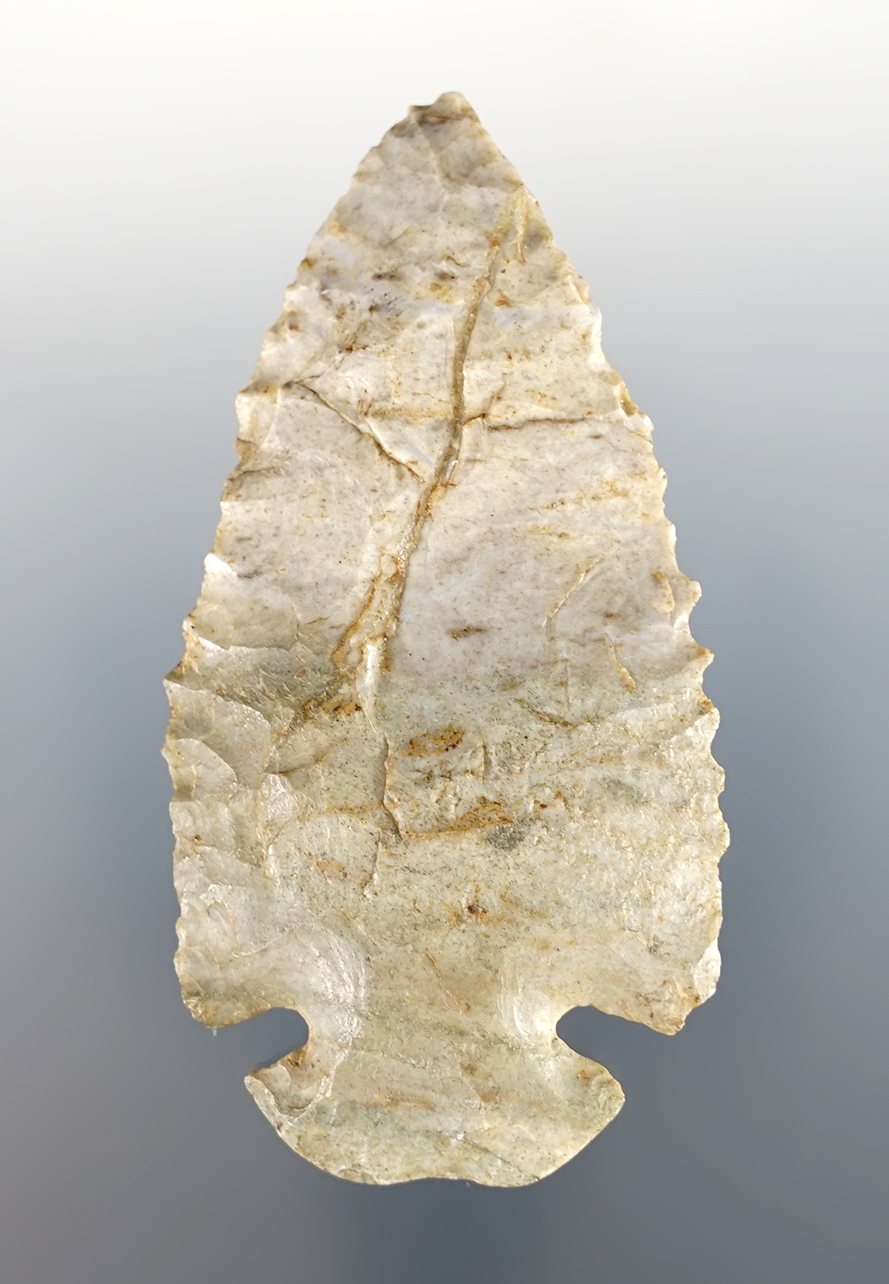 Main artifact image