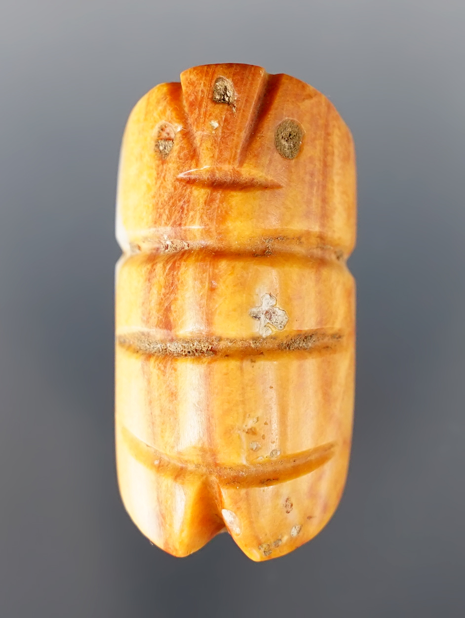 Main artifact image