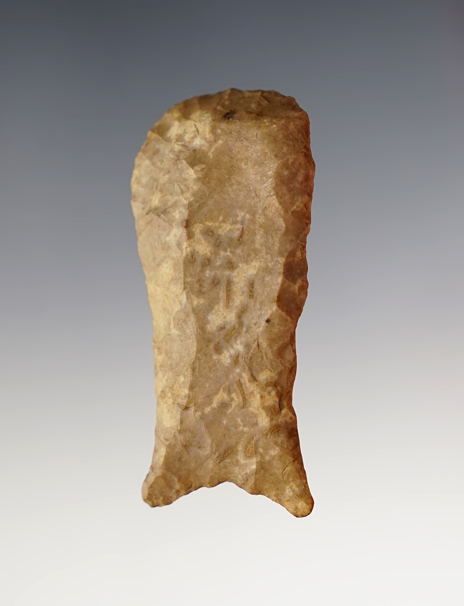 Main artifact image
