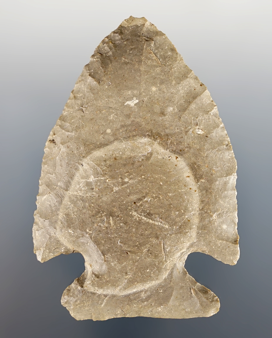 Main artifact image